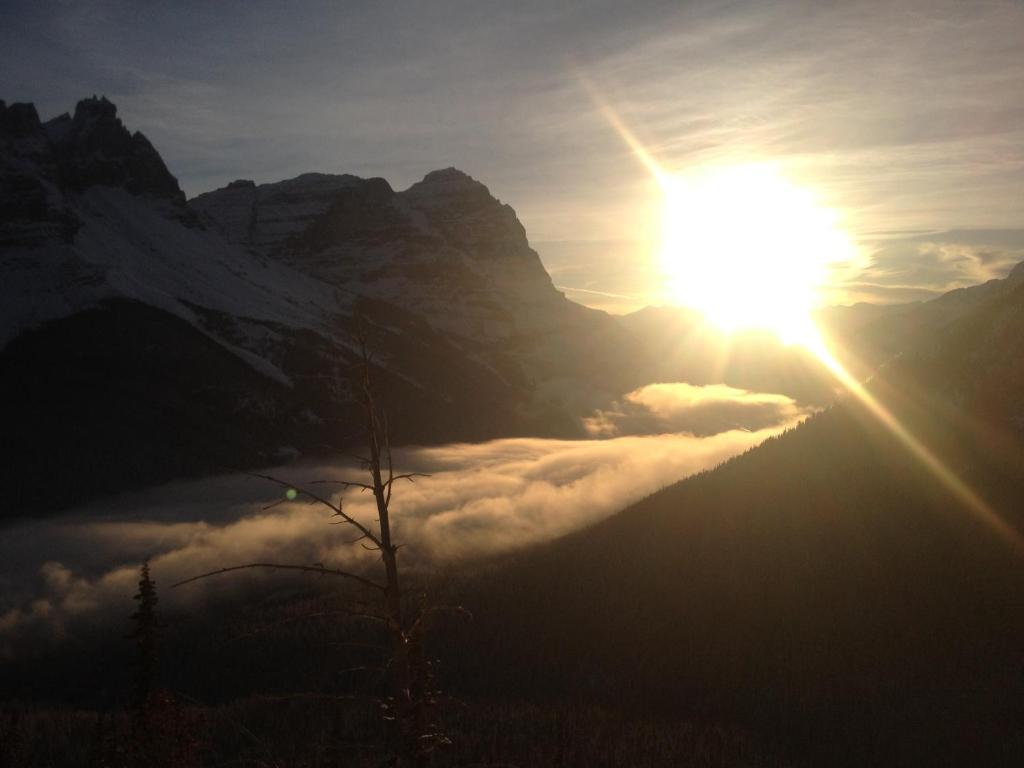 Canadian Rockies Inn - Adults Only Field Luaran gambar